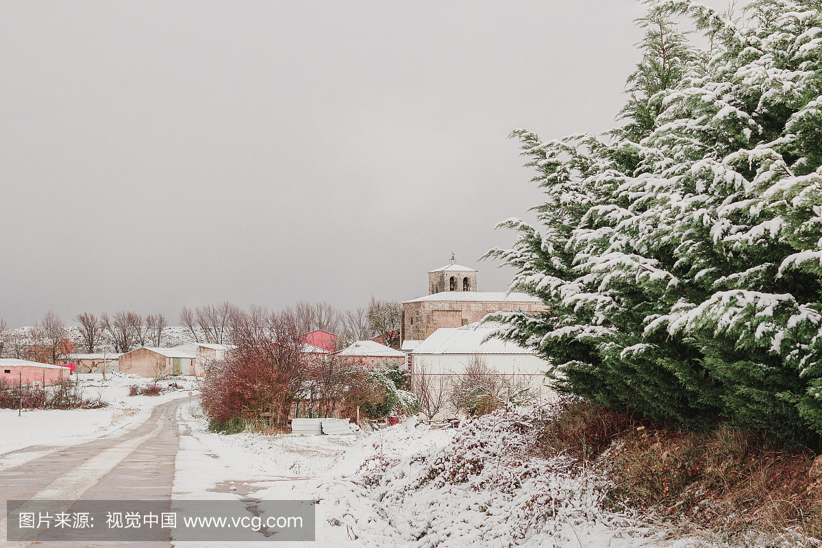 寒冷,环境,雪,天气