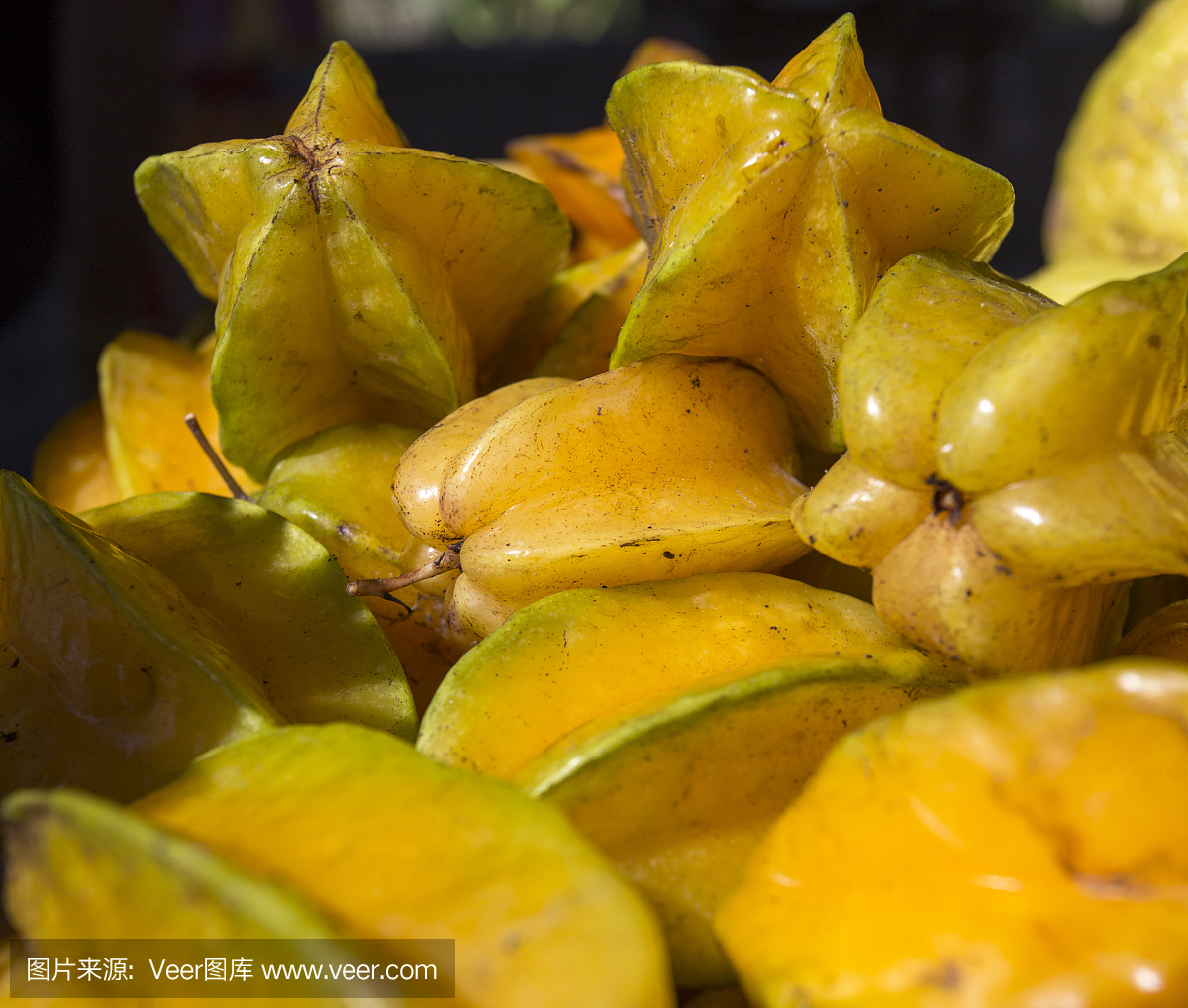 科罗曼德尔半岛,科罗曼德,科罗曼德尔,杨桃