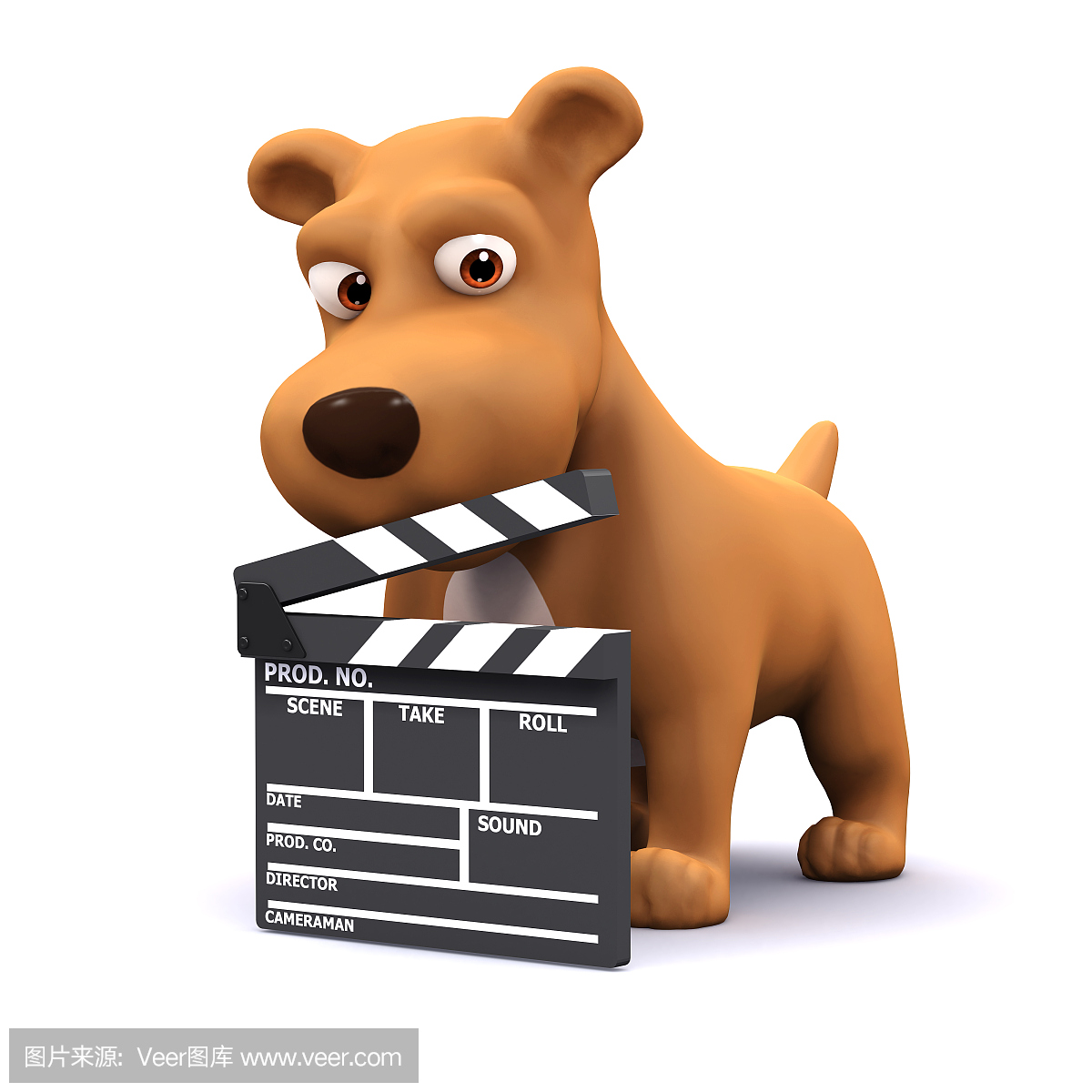 纽卡素,纽卡瑟尔-泰恩区,纽素,纽卡斯尔泰恩