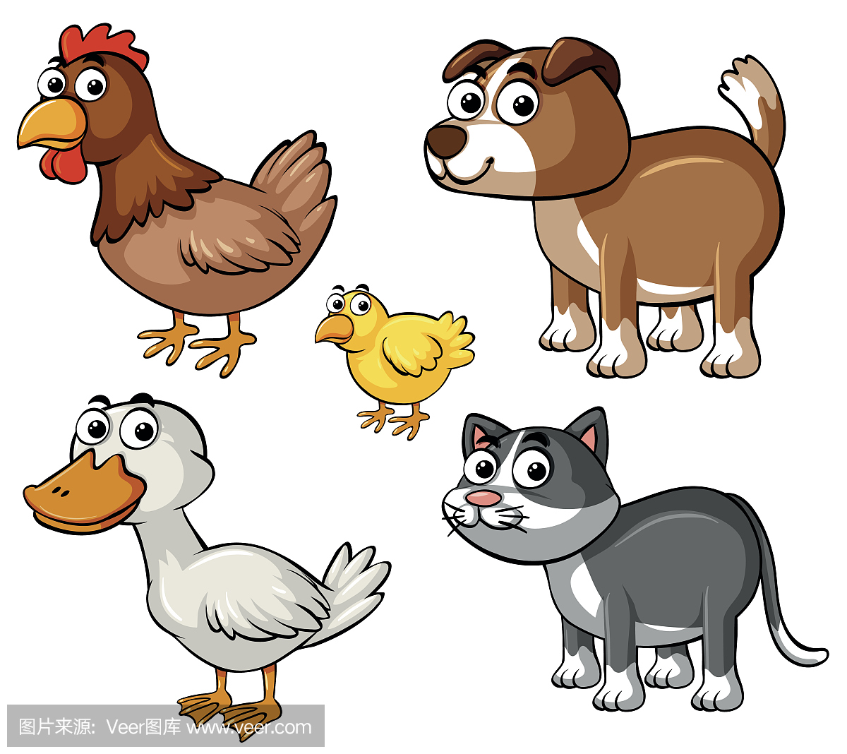 Different types of farm animals