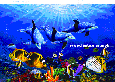 手机海底鱼3d动态壁纸_【gif】海洋世界_64张-550kb