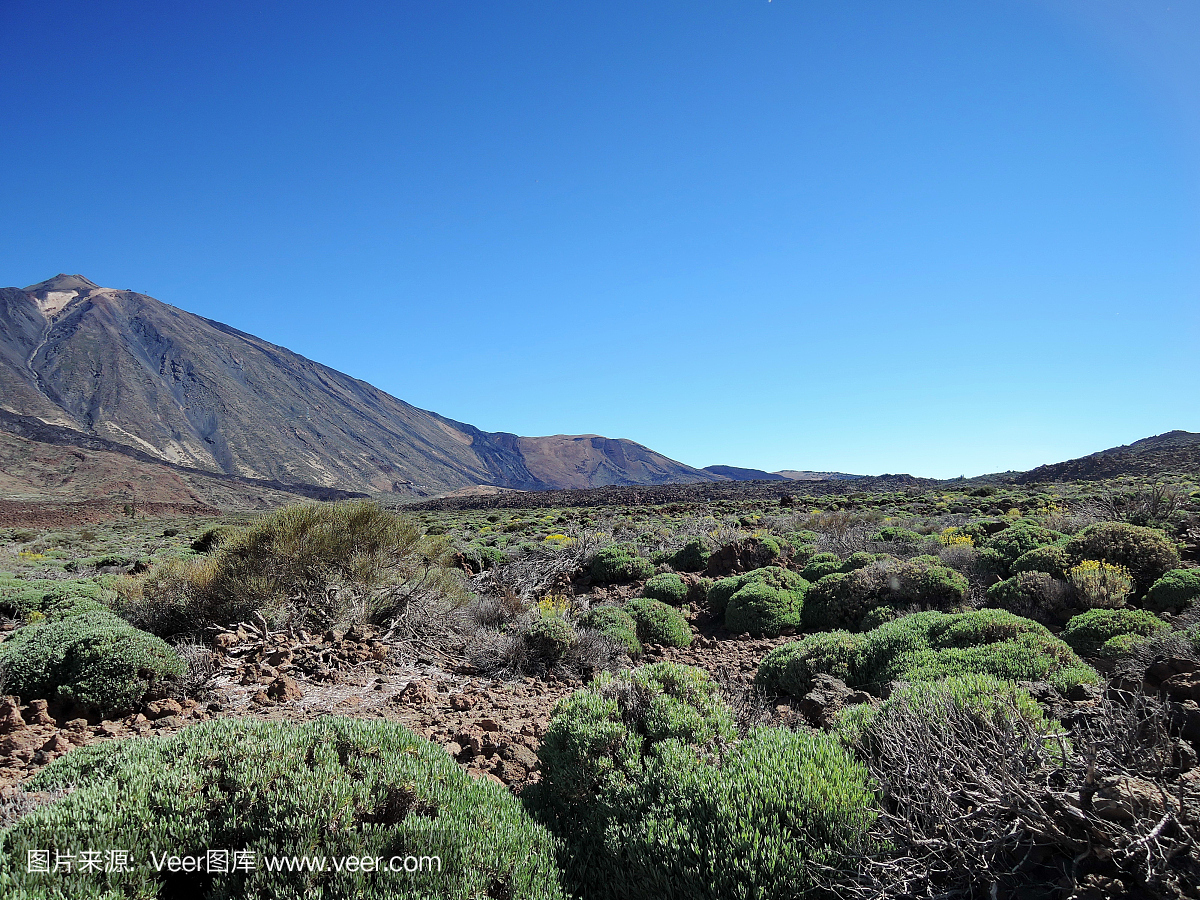 特内里费岛,特内里费市,自然,旅游目的地