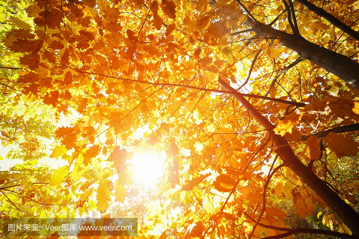 秋天的太阳射线