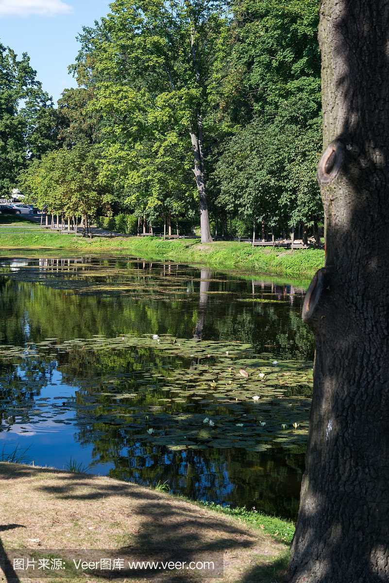 蒂尔加藤公园,特尔加登园,特尔加藤园,特尔公园