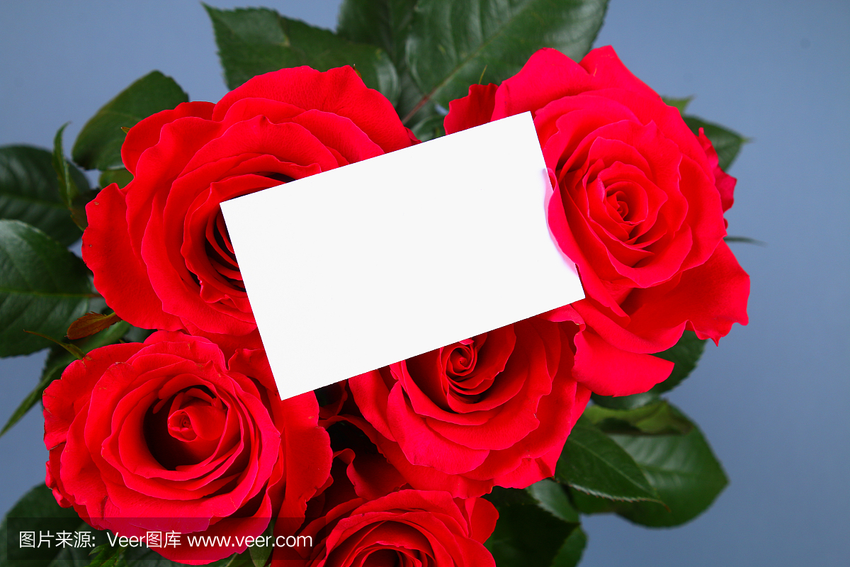 Blank white gift card on a bed of red rose petal
