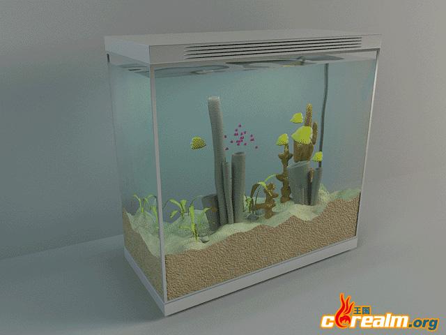 What kinds of pet fish are there？