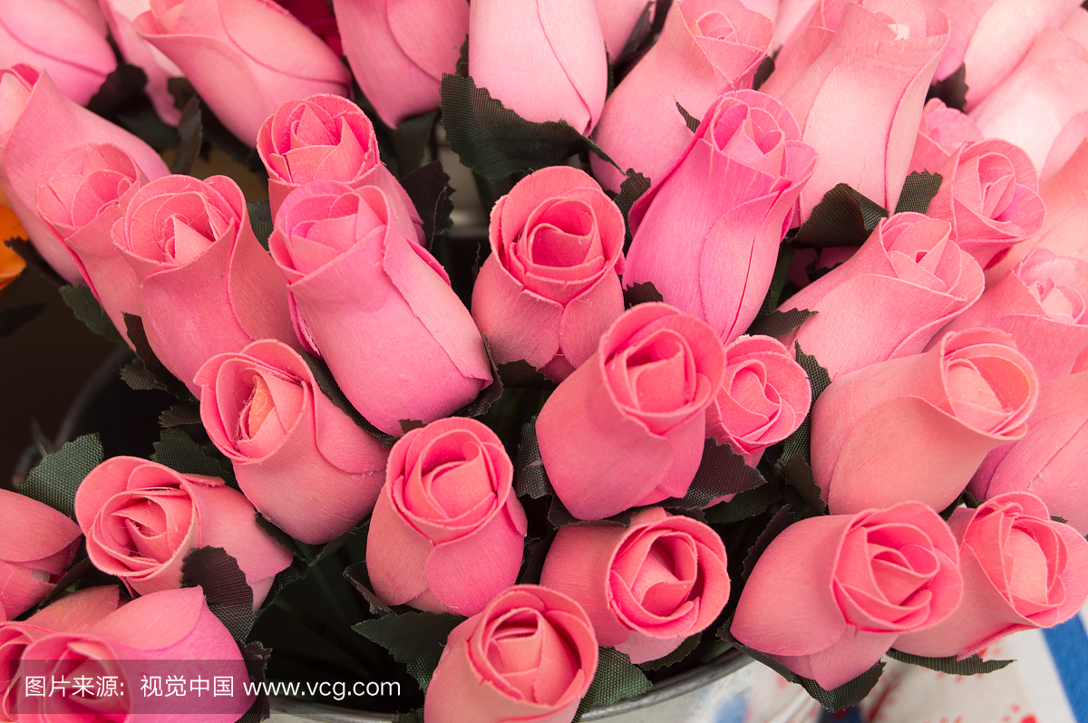 玫瑰,玫瑰植物,玫瑰花,伴侣