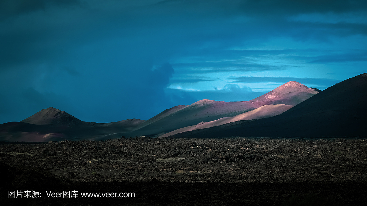 瑞典,北美歌雀,灰,岩石