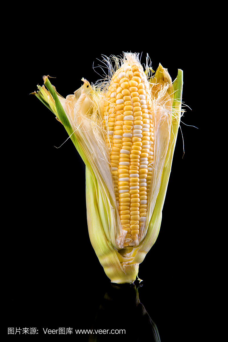 老玉米,玉米棒子,玉米棒,垂直画幅