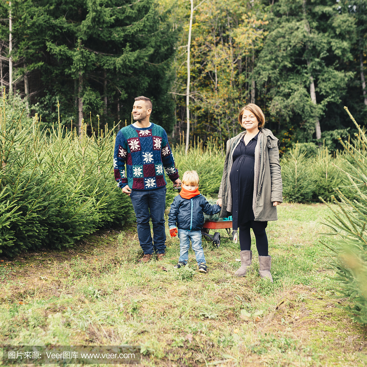 幸福的家庭带回家圣诞树