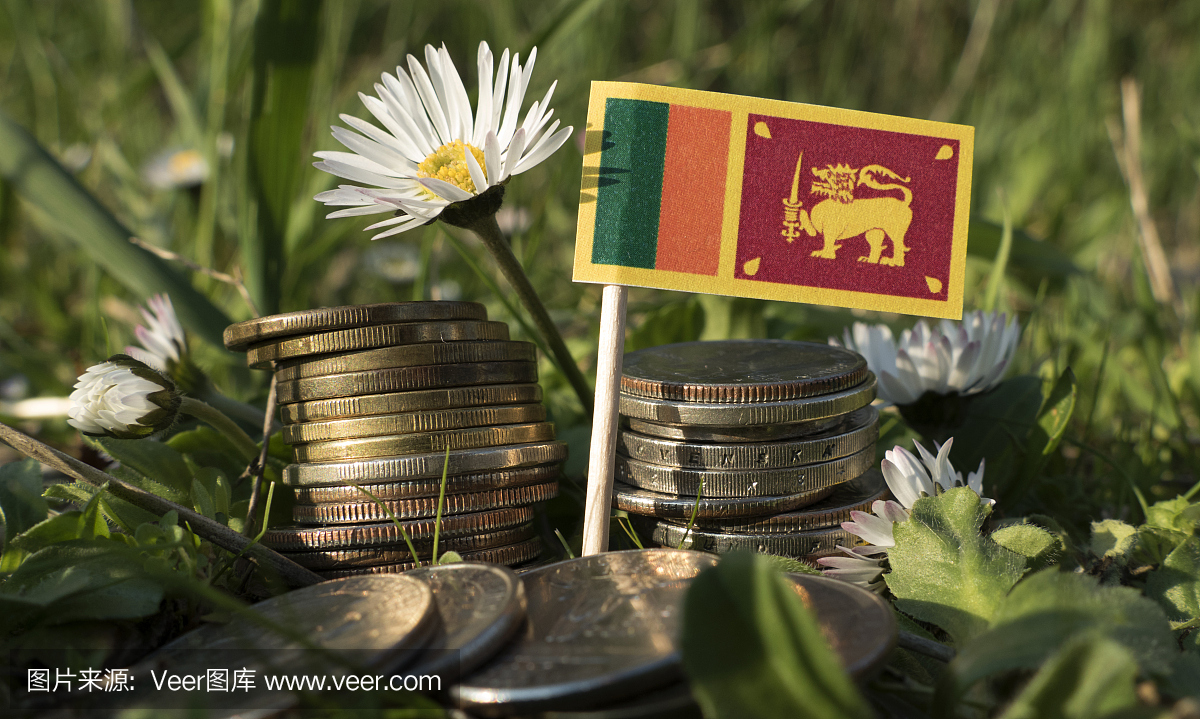 斯里兰卡国旗与一堆钱与草和花的硬币