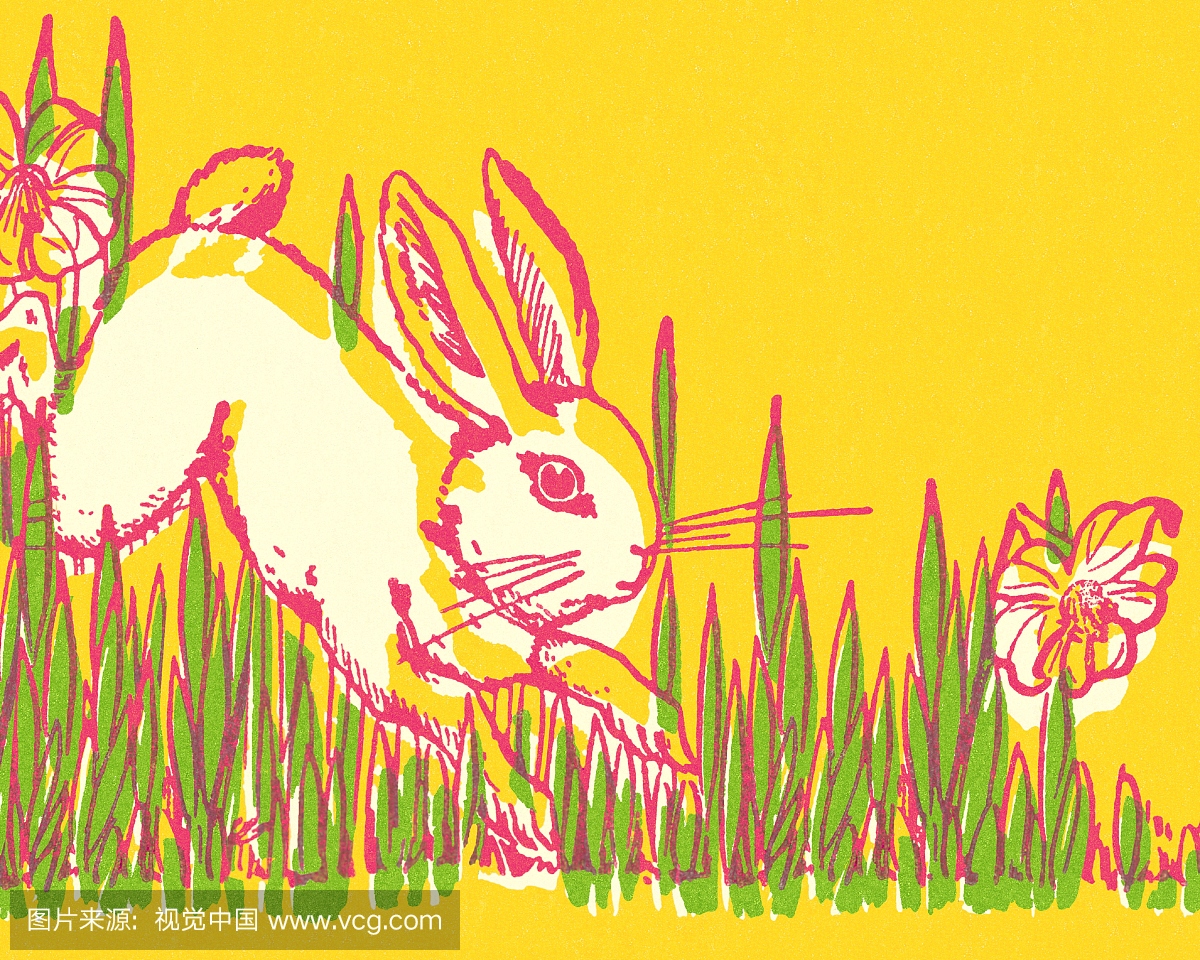 兔子跳在草地上