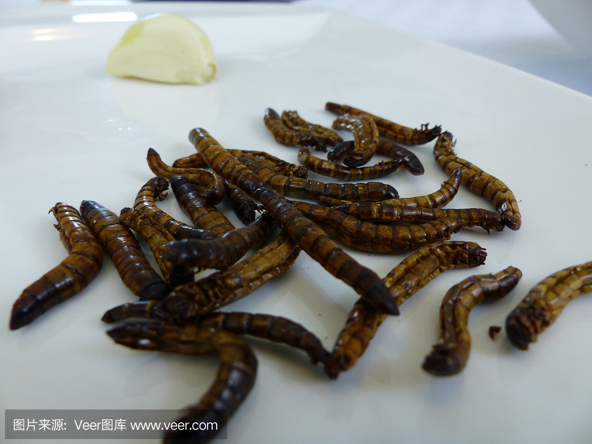 水牛蠕虫 - 昆虫作为食物