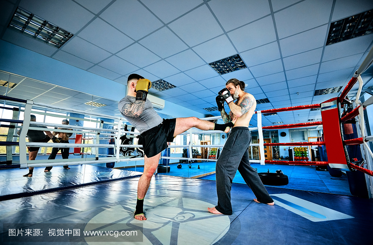 拳击,著名拳击手,散打,拳击家