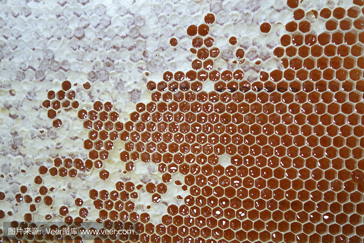 甜蜜的新鲜蜂蜜在黄色蜂窝框架