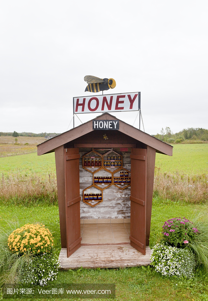 垂直画幅,摄影,加拿大,蜂蜜
