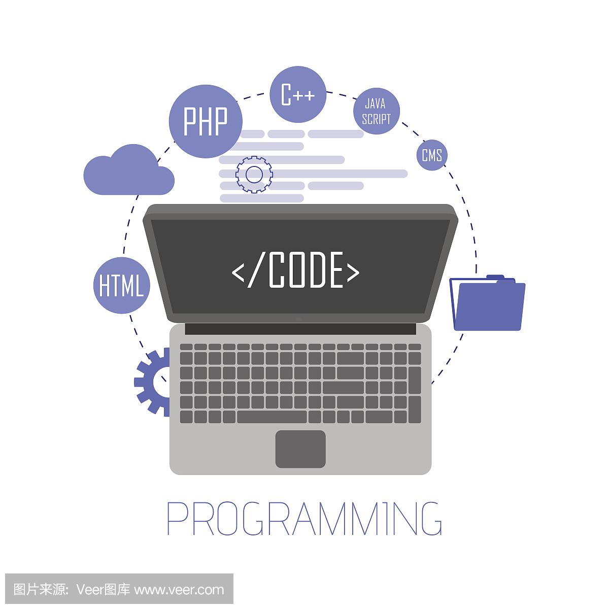 编程和编码,网站开发