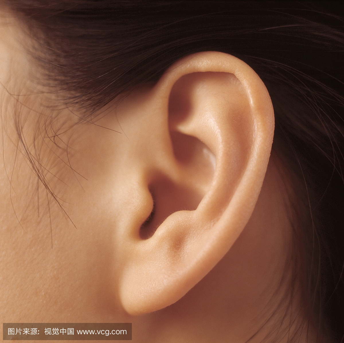 Ear