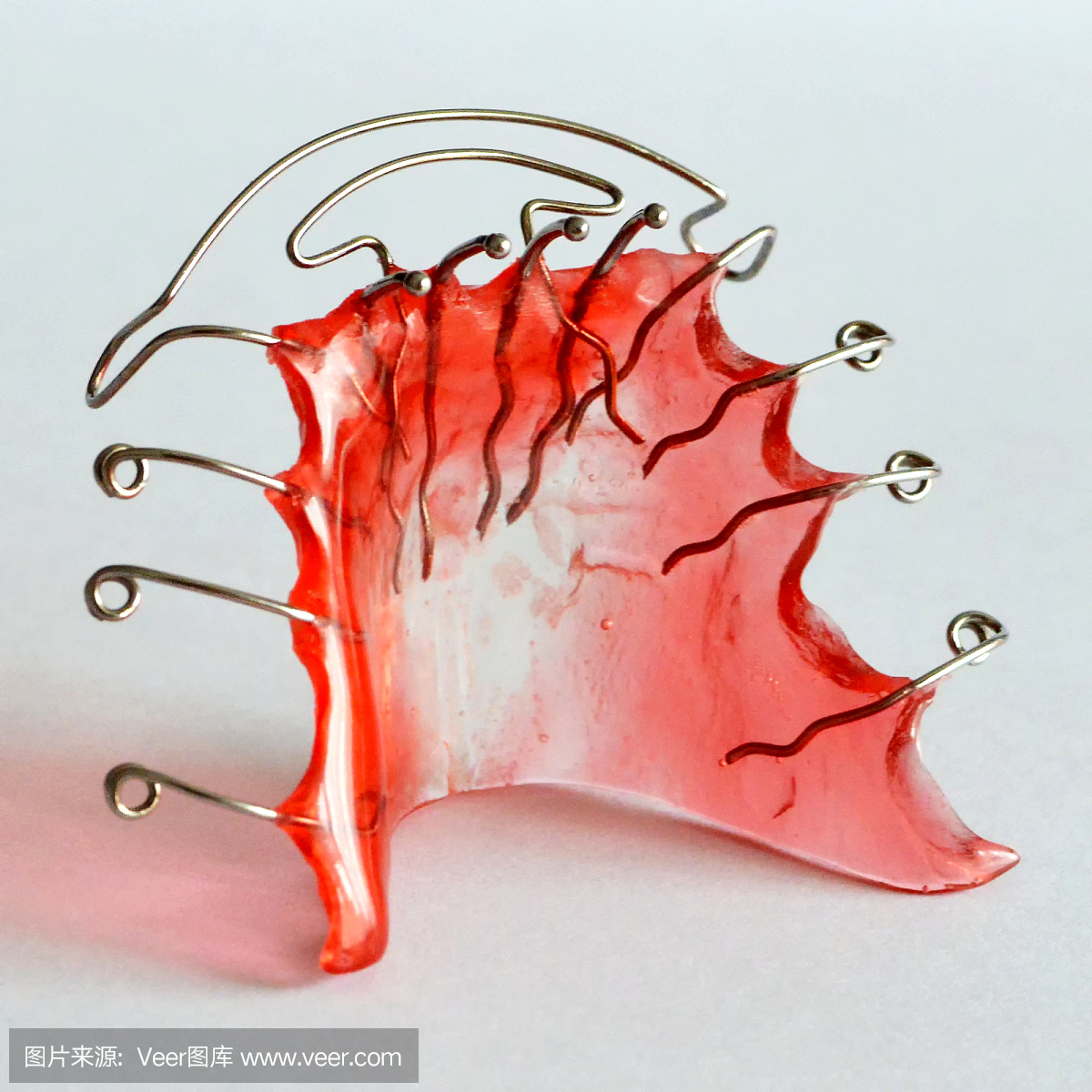 颌骨,人的颌骨,颌面,上颌骨