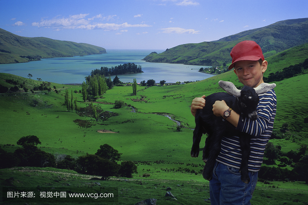 新西兰,南岛,银行半岛,男孩(8-10)持羊