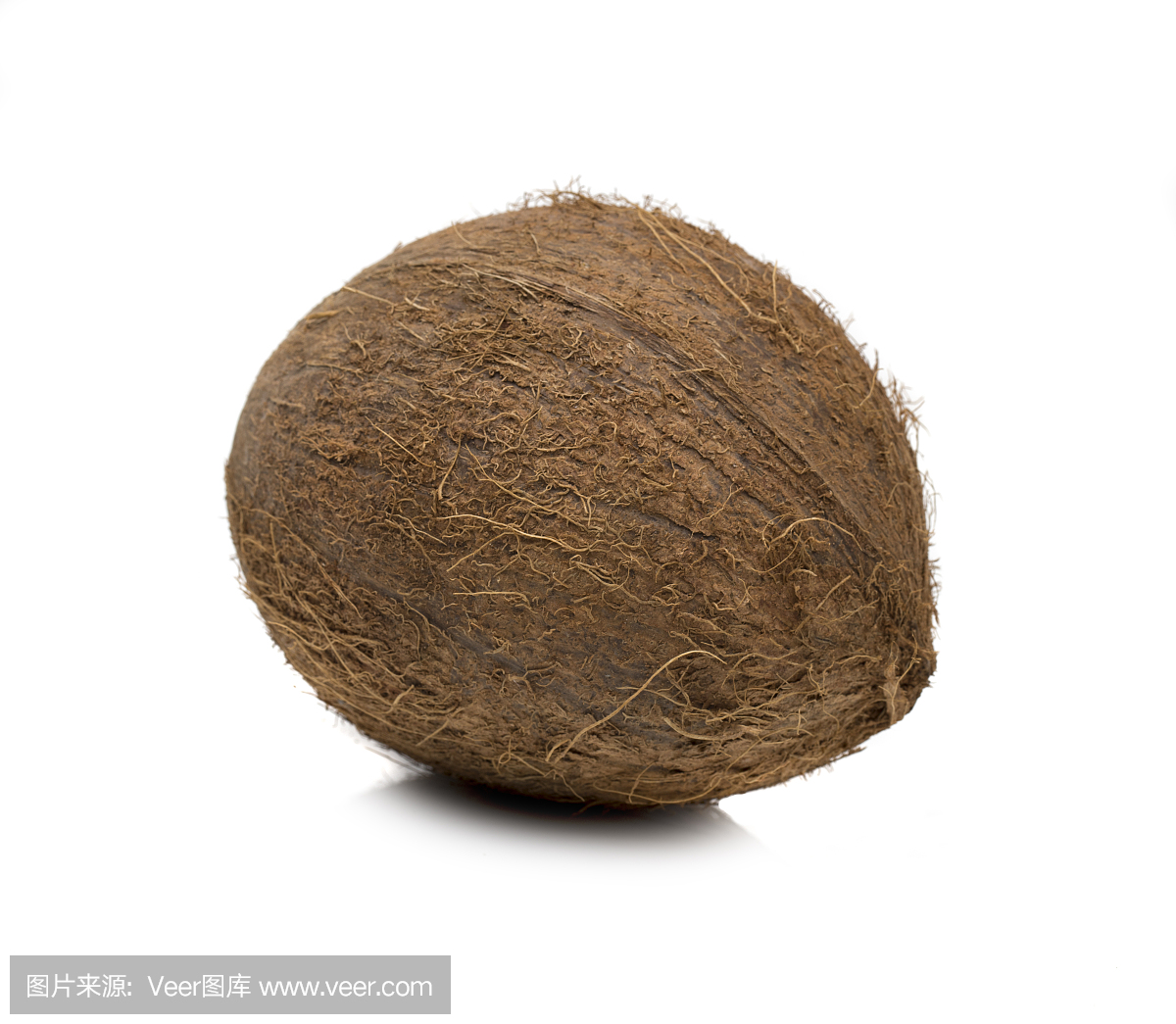 成熟的椰子在白色背景上的照片。