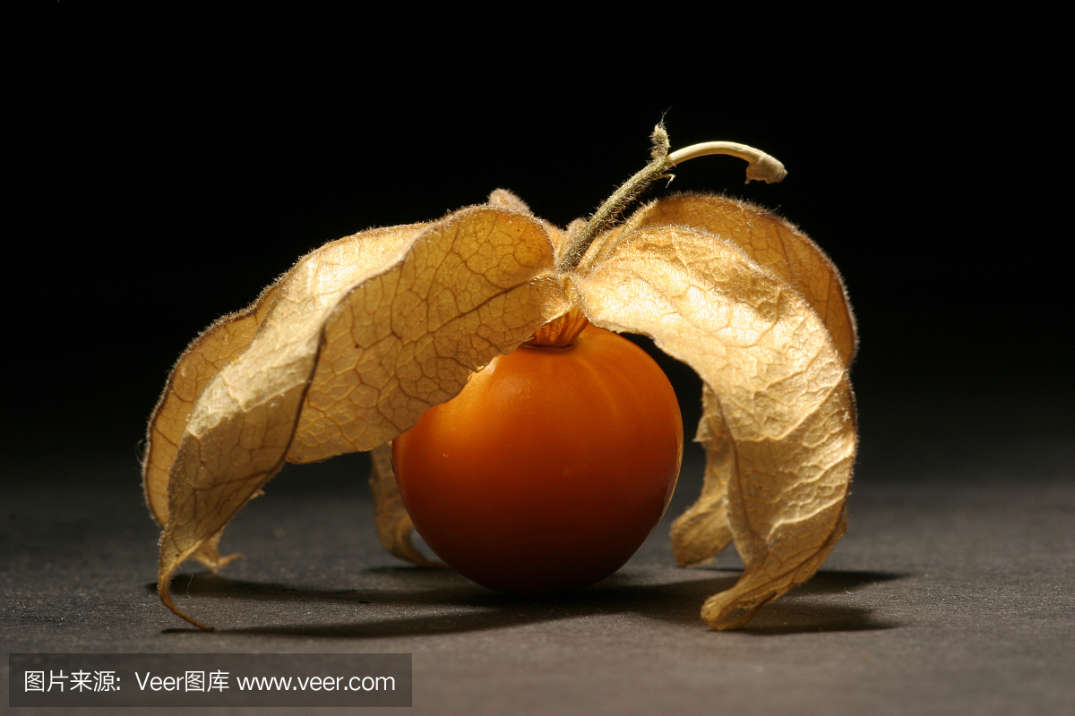 酸浆属,灯笼果,茄科,英文字母C