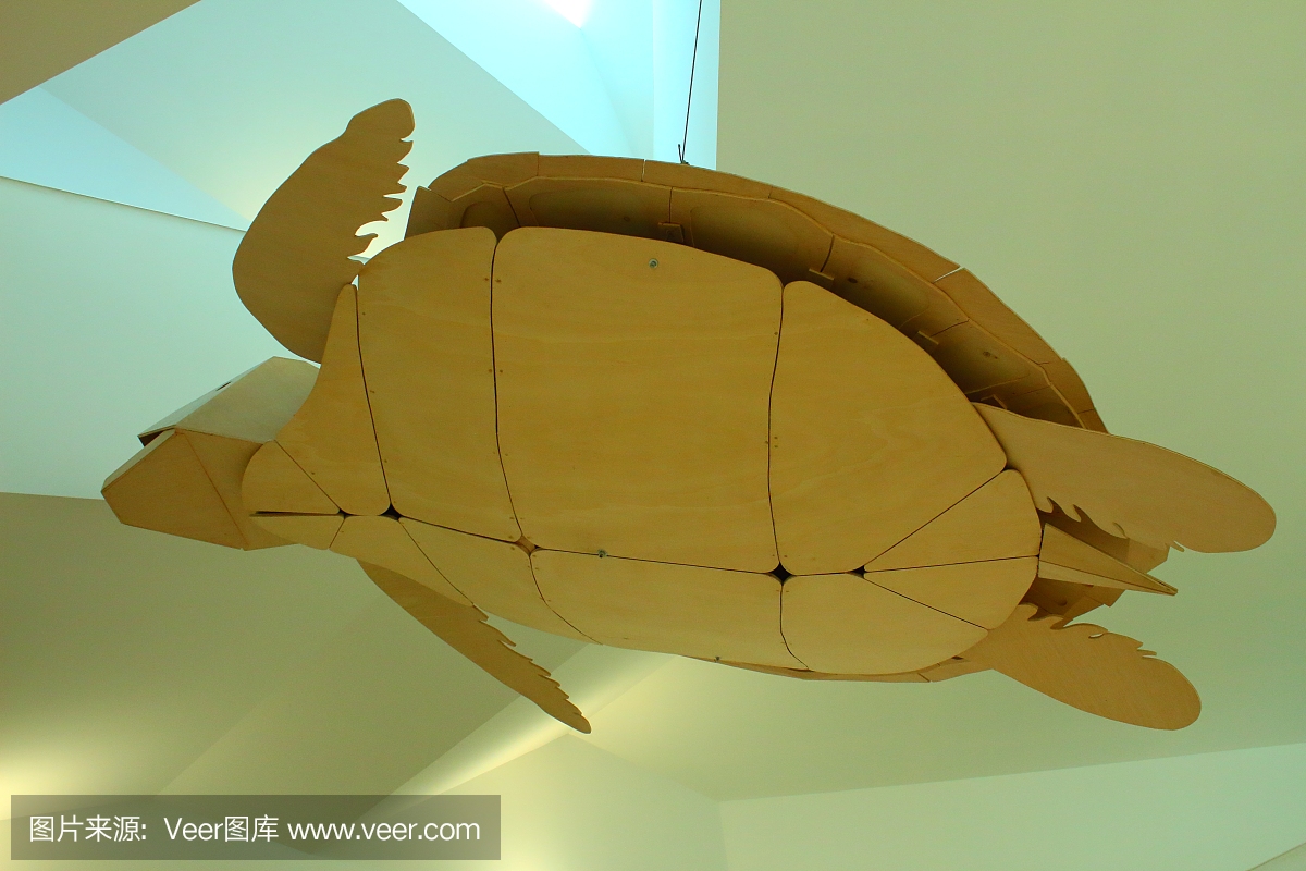 漂浮在空中的木乌龟模型