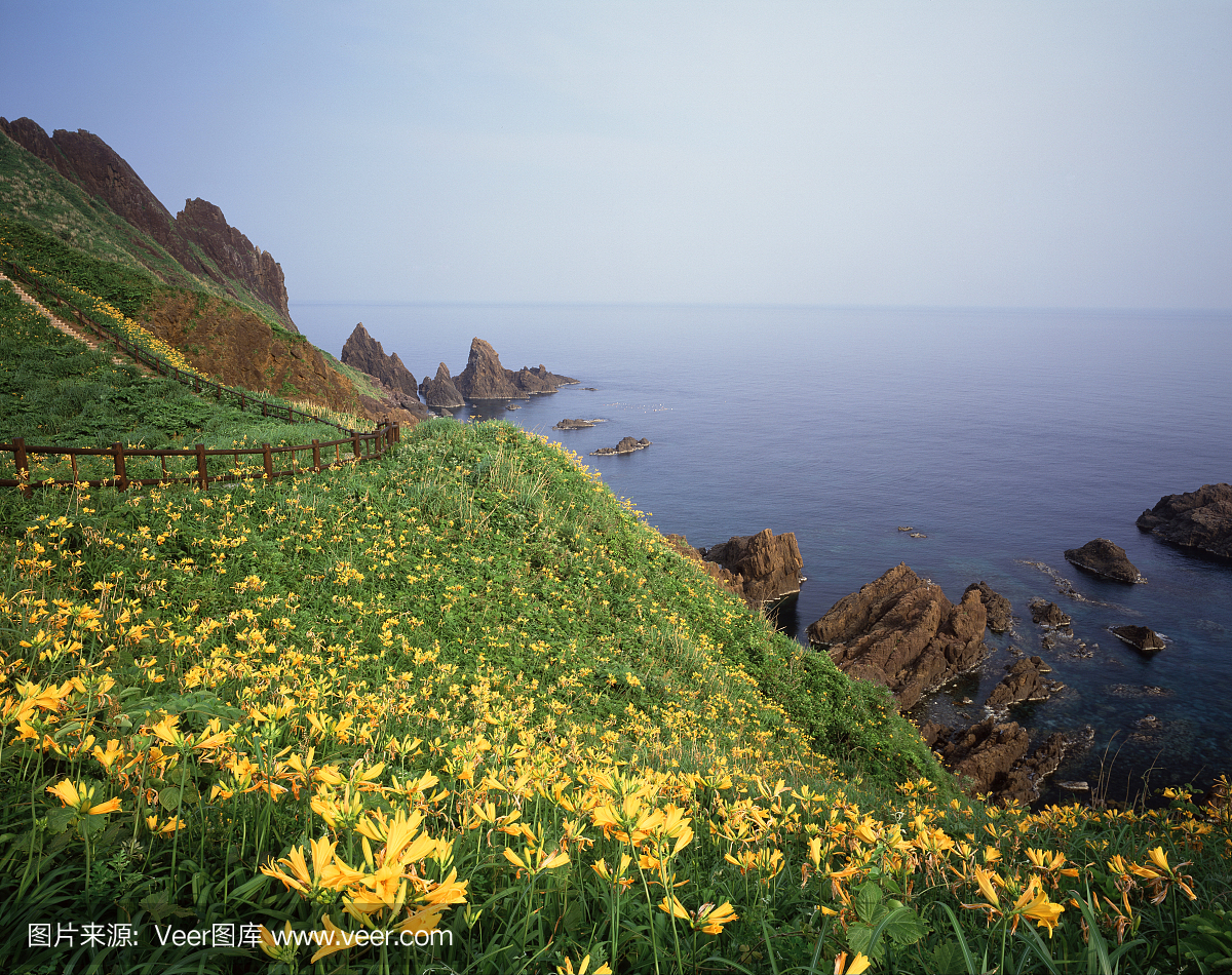 新泻县,新泻镇,日本本州岛中北岸港市,新滹