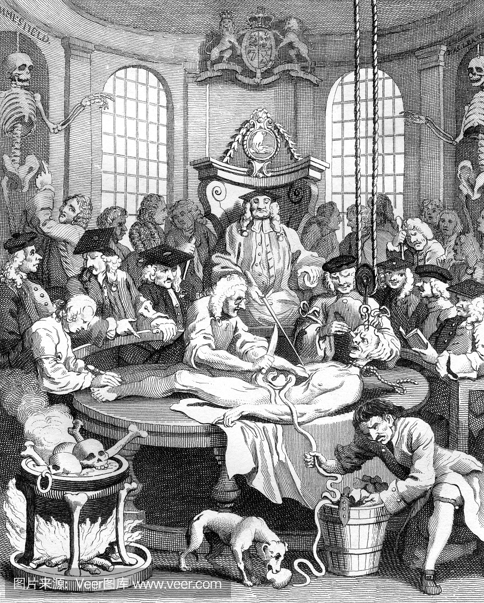 18世纪政治动画描绘霍格斯的可怕尸体解剖