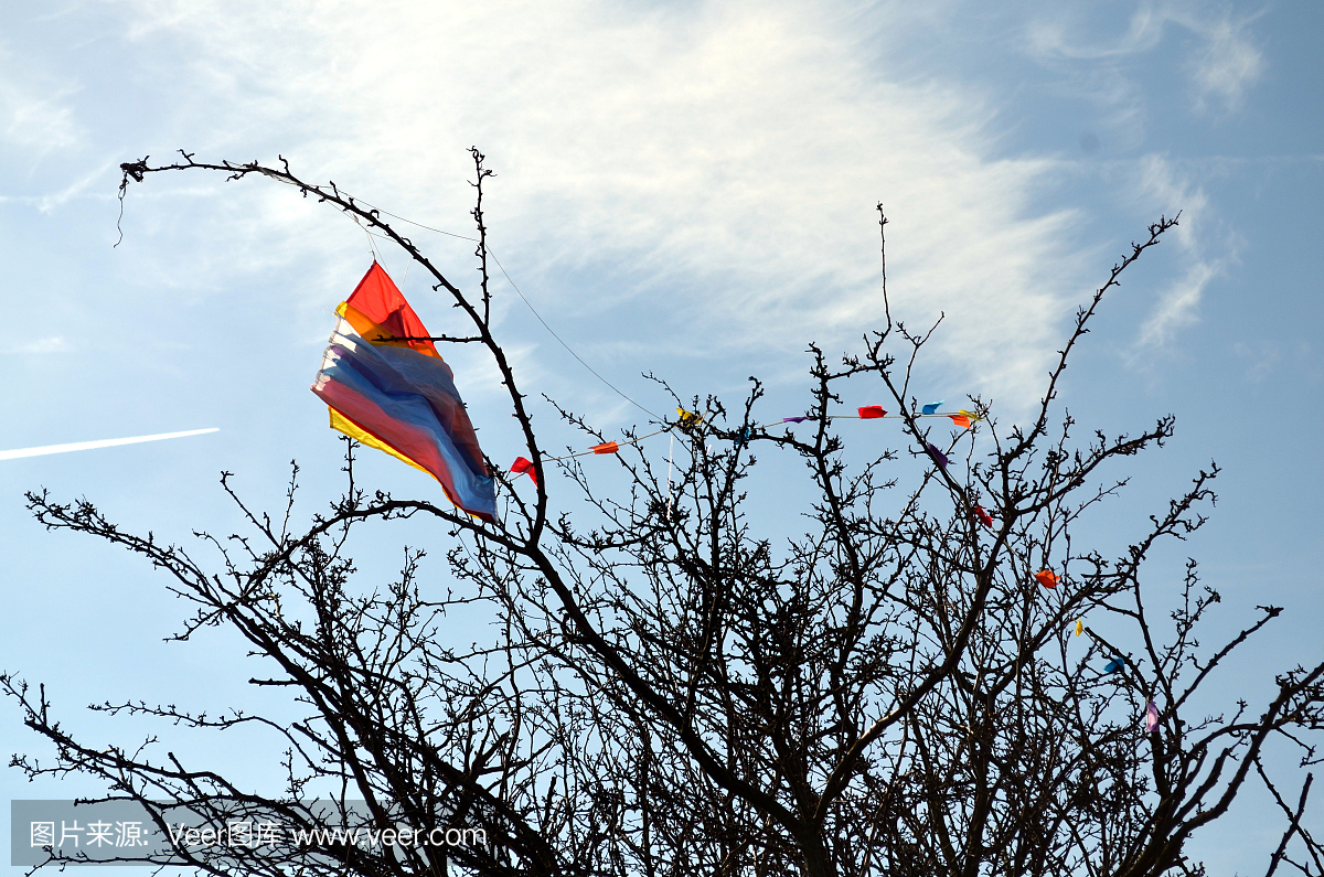 风筝在春天被困在树上