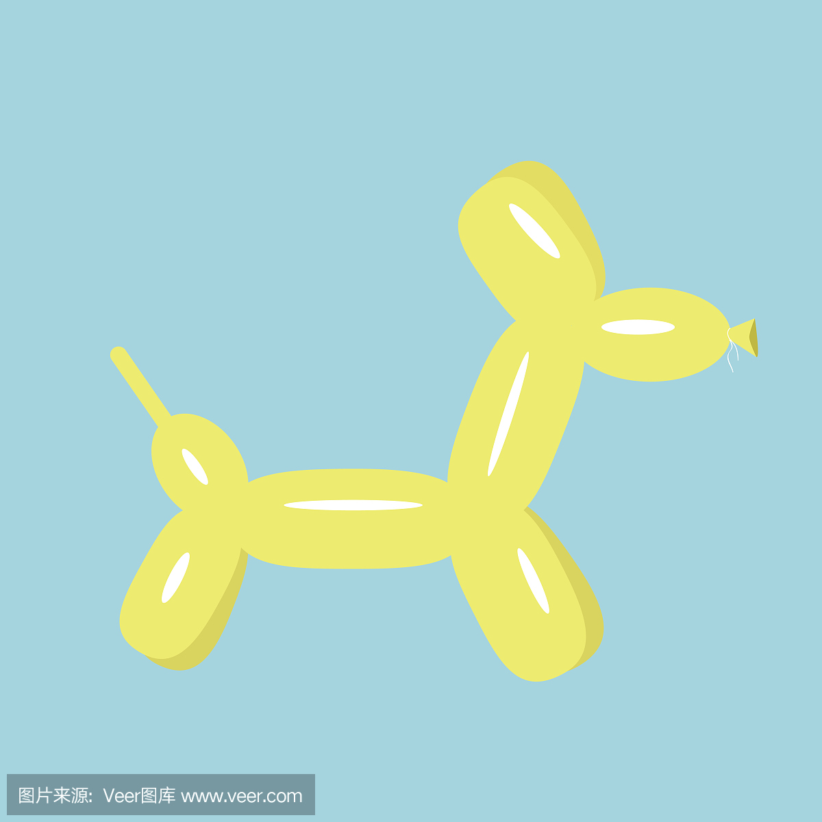 贵宾犬,贵宾狗,一种智力很高的狮子狗,贵妇犬