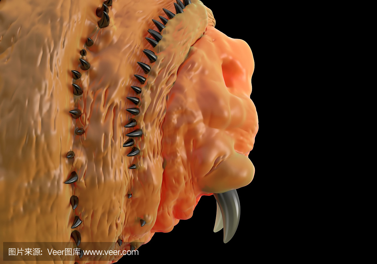 Botfly,Bot蝇幼虫或Gasterophilus寄生蝇幼虫