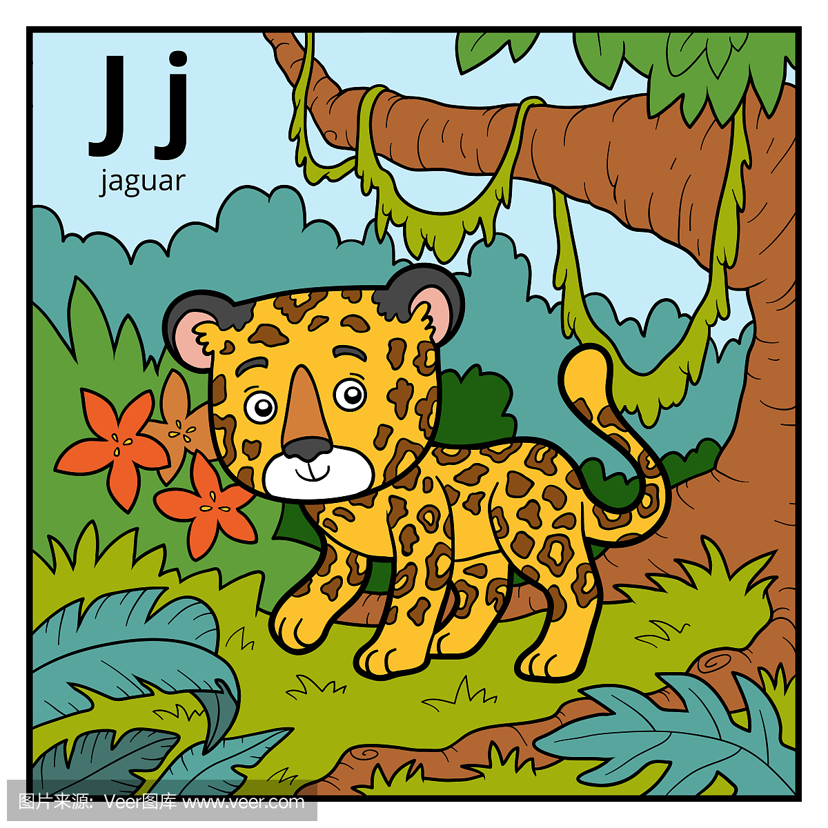 美洲豹,金钱豹,豹,英语