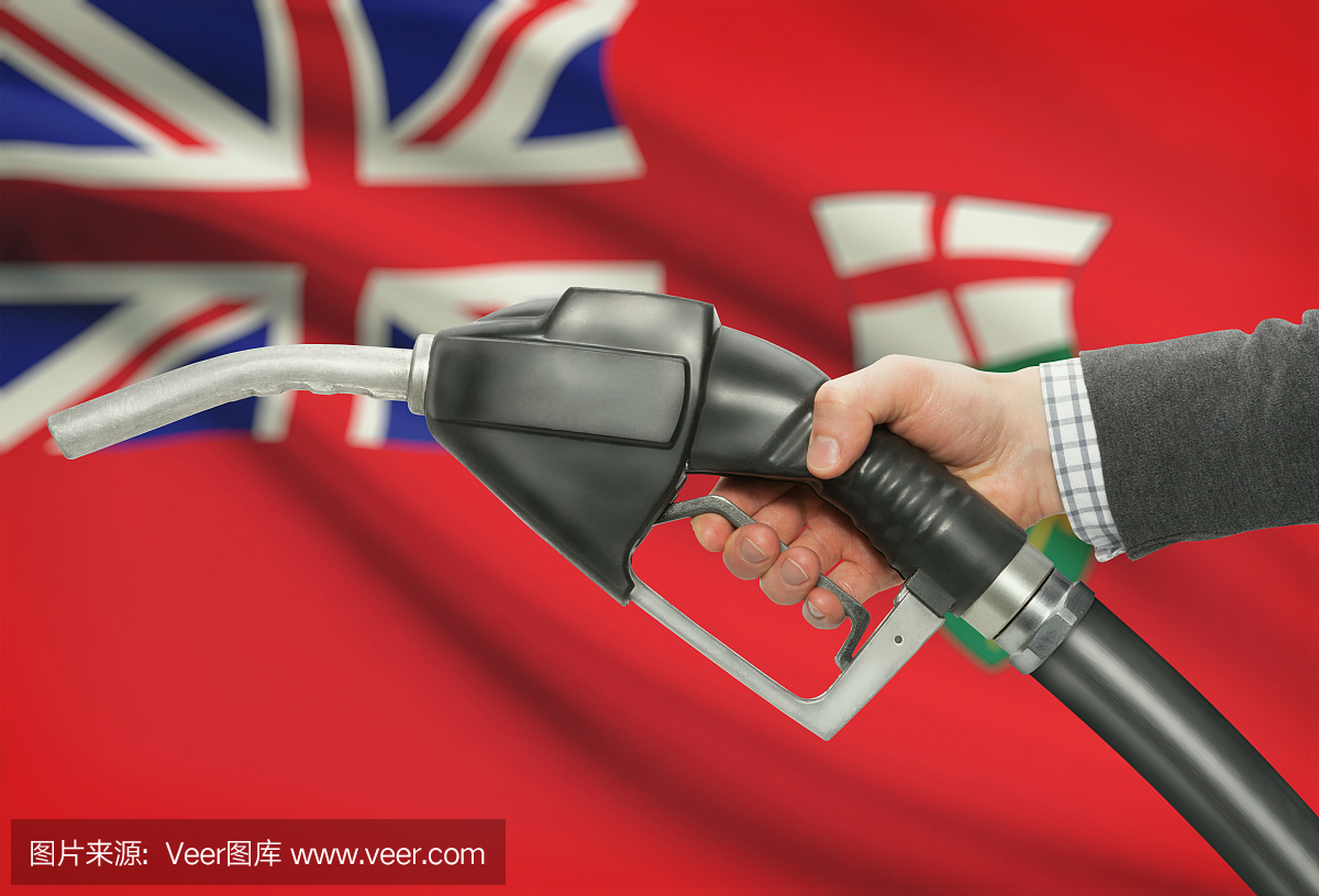 燃油泵喷嘴在加拿大各省的旗帜在背景 - 安大略