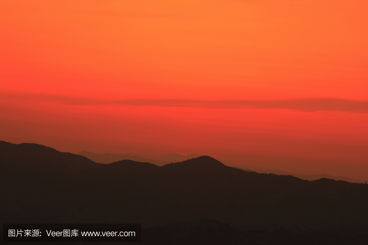 高野山,高野大山,和歌山县,和歌山市原色角蛙最大能长多大图片