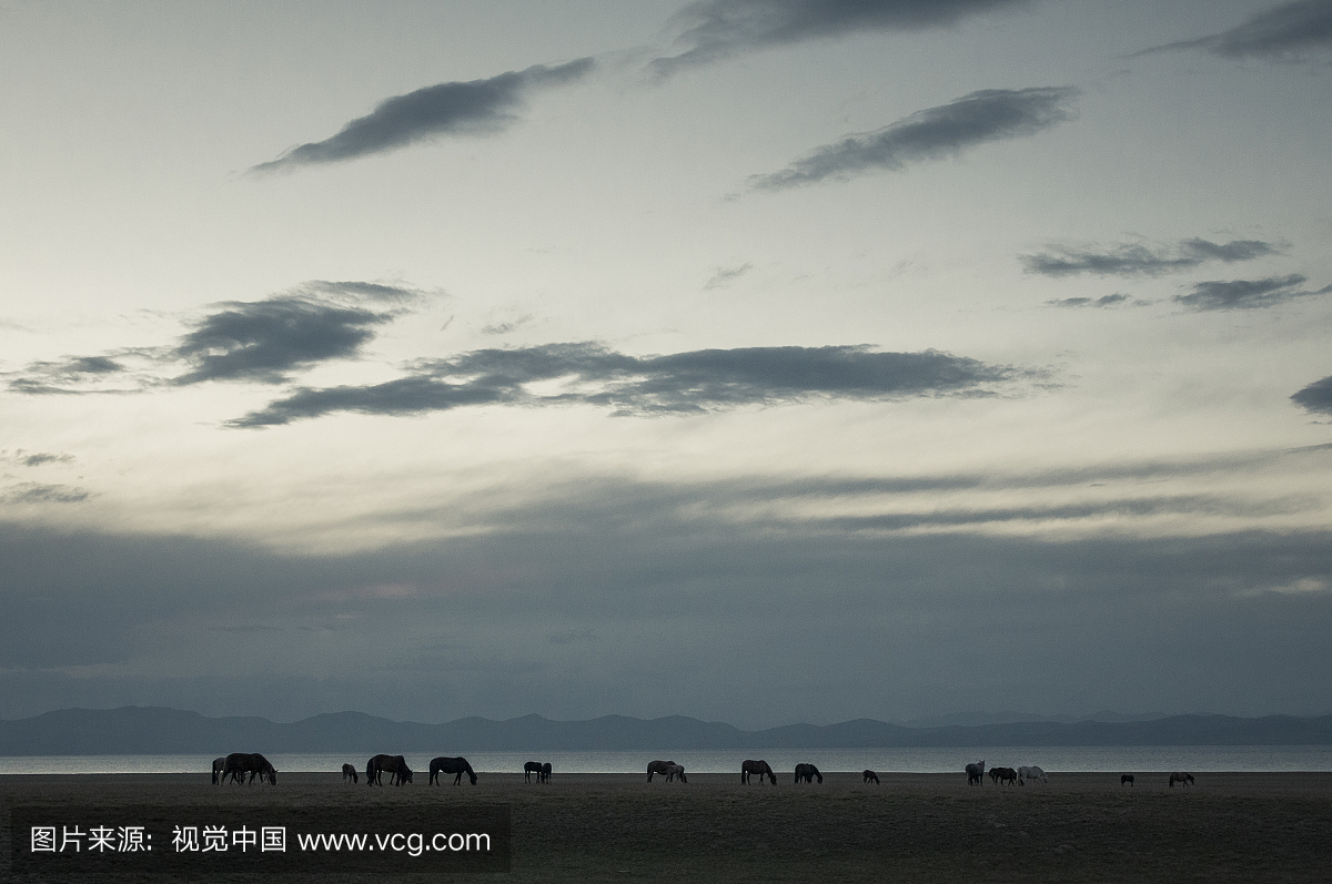 吉尔吉斯斯坦黄昏附近的歌曲kul湖附近的马