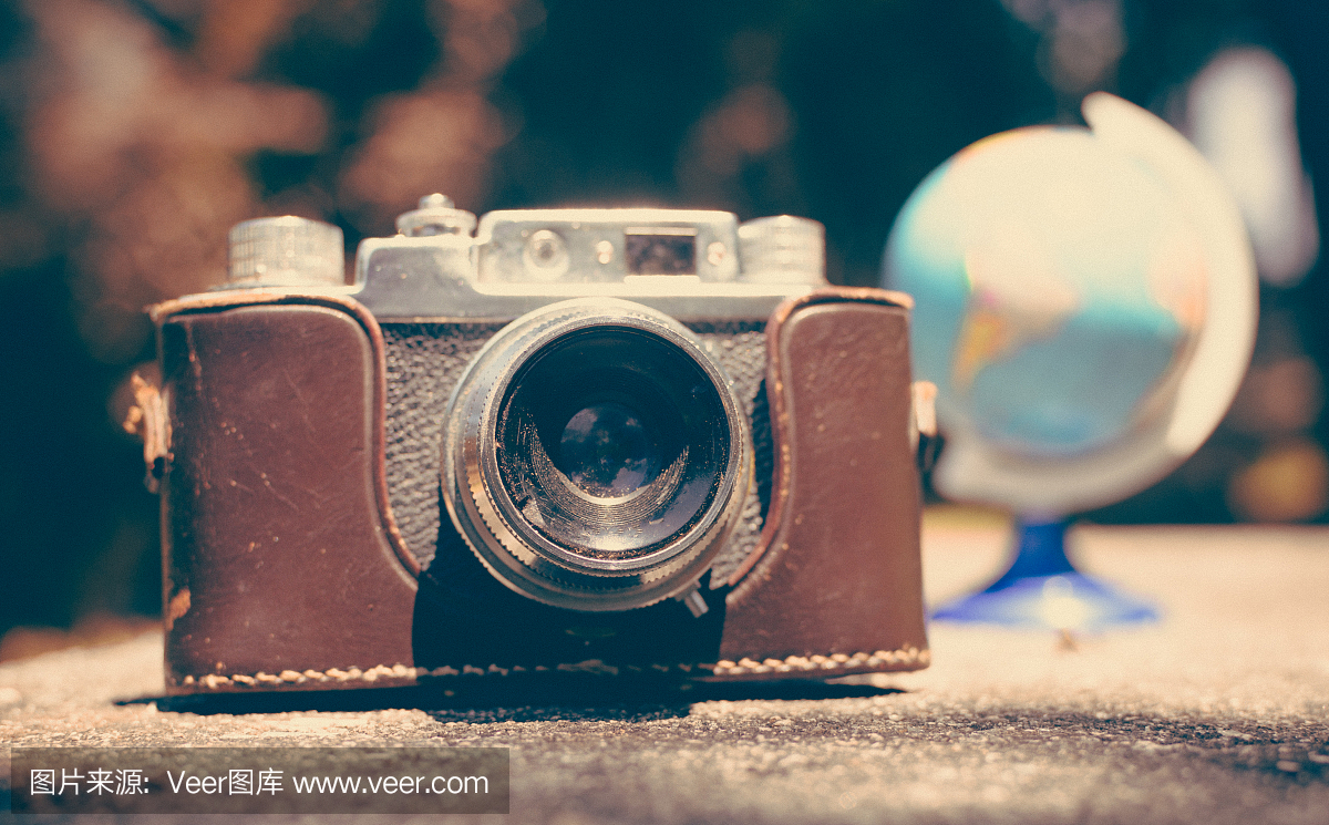 松果,松球,松树种子,模拟设备