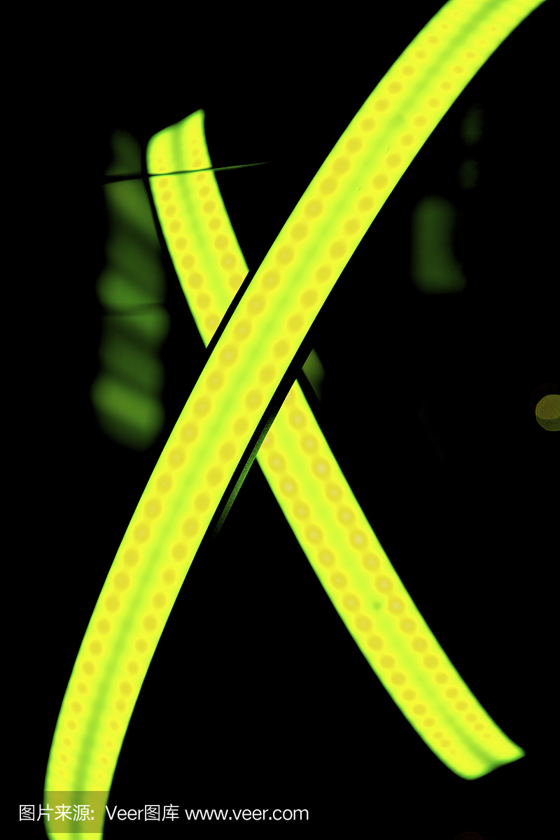 才艺表演,业余演出,英文字母X,字母X