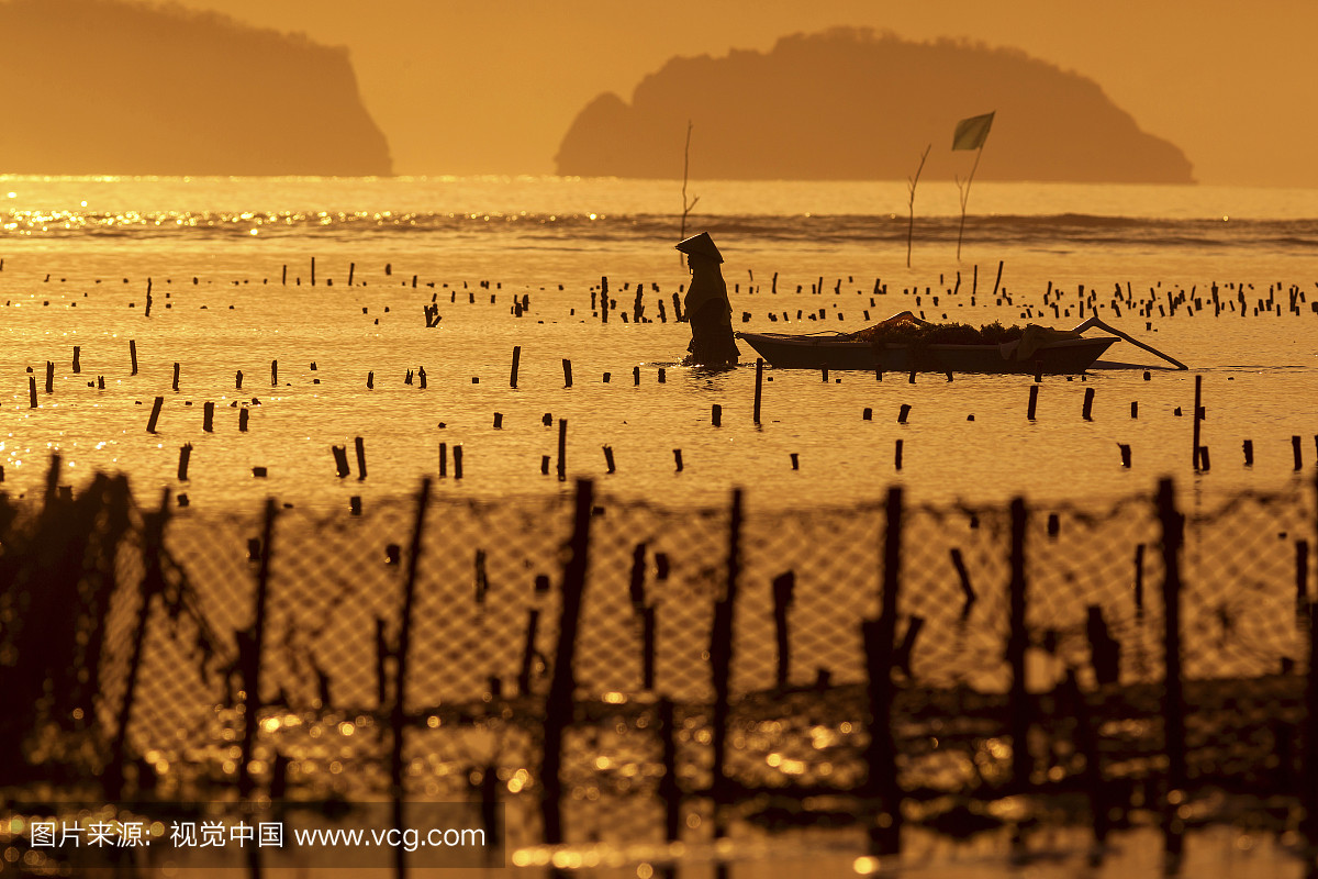 养鱼场,养鱼塘,海洋养殖,捕鱼场