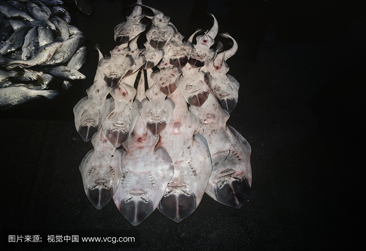 溜冰鞋出售在鱼市场。巴基斯坦卡拉奇