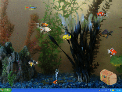 动物动态待机手机壁纸-51kb