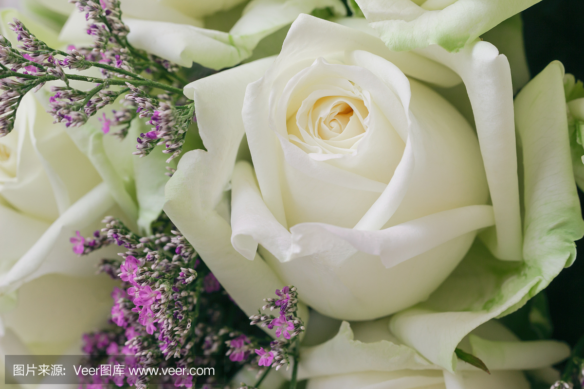 美丽甜美的白玫瑰花束在关闭了视图宏观概念。
