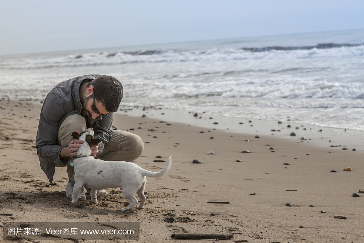 男人在海滩玩耍时爱抚他的狗