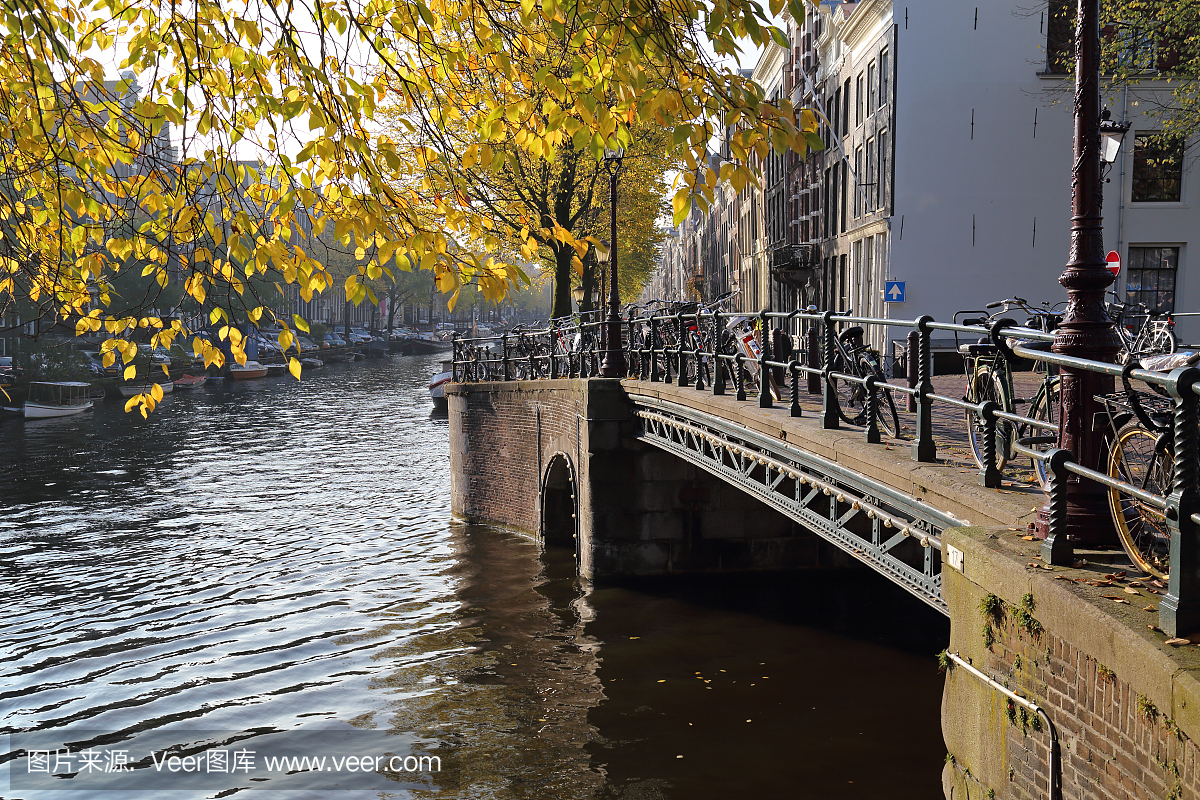 荷兰文化,著名景点,自行车,逆光