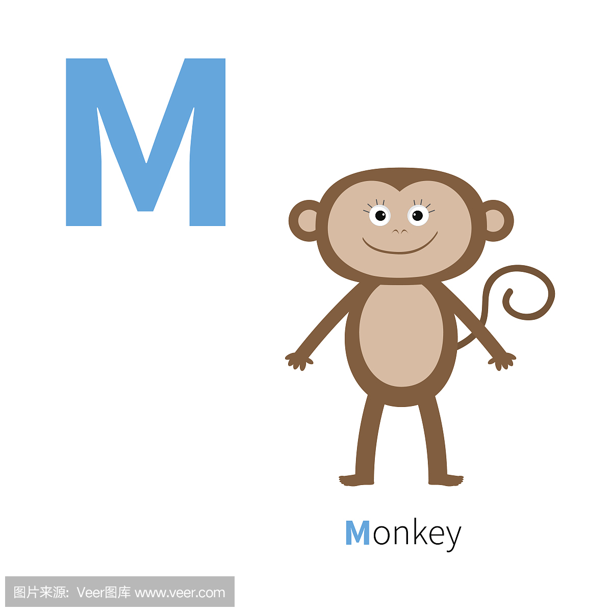 信M猴子动物园字母表。英语abc与动物教育卡