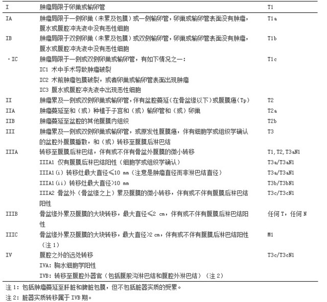 figo卵巢癌,输卵管癌及分期癌丁香庭院(2014)指南园腹膜种罗汉松的v分期图片