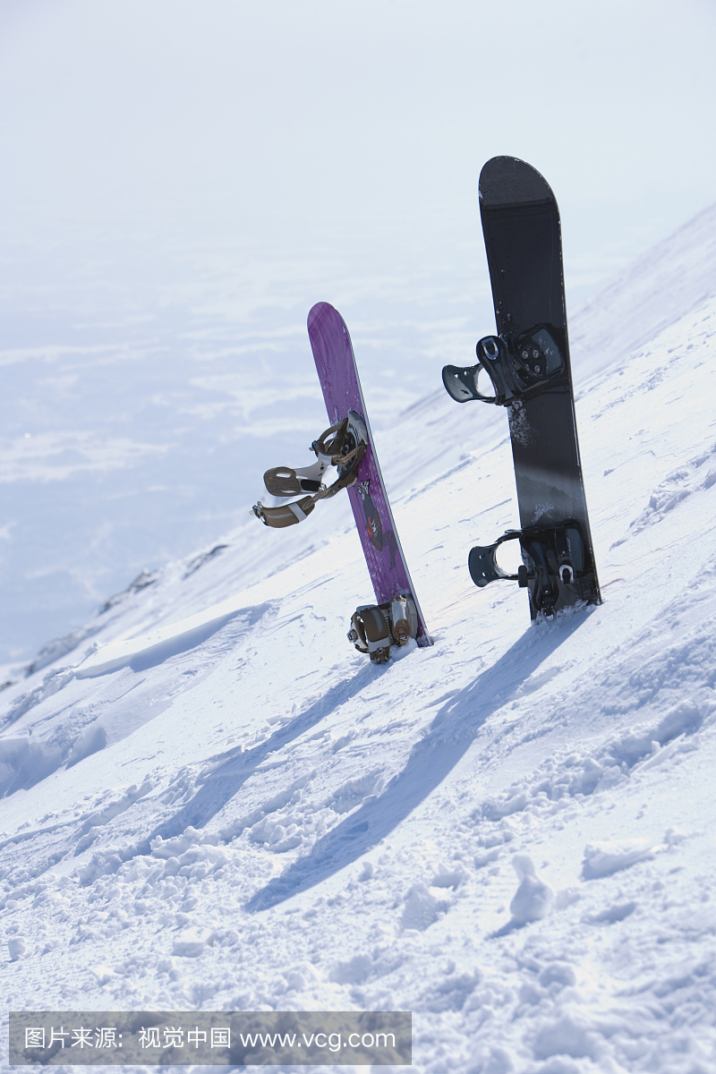 雪板,滑雪用雪板,单板滑雪,滑雪板运动