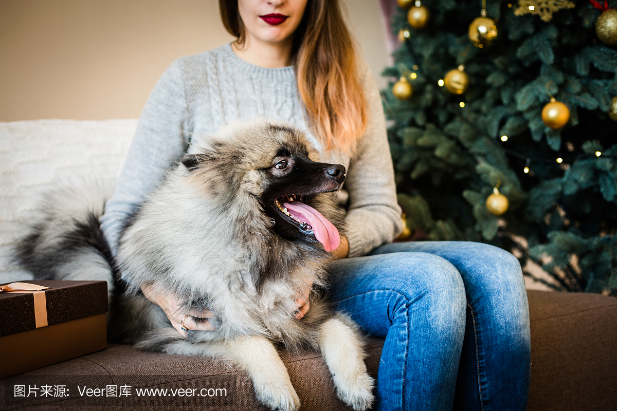 女人和一只狗坐在圣诞树附近