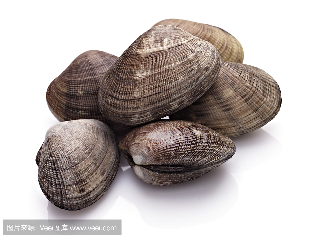 在白色表面上的几个封闭的蛤壳的特写镜头