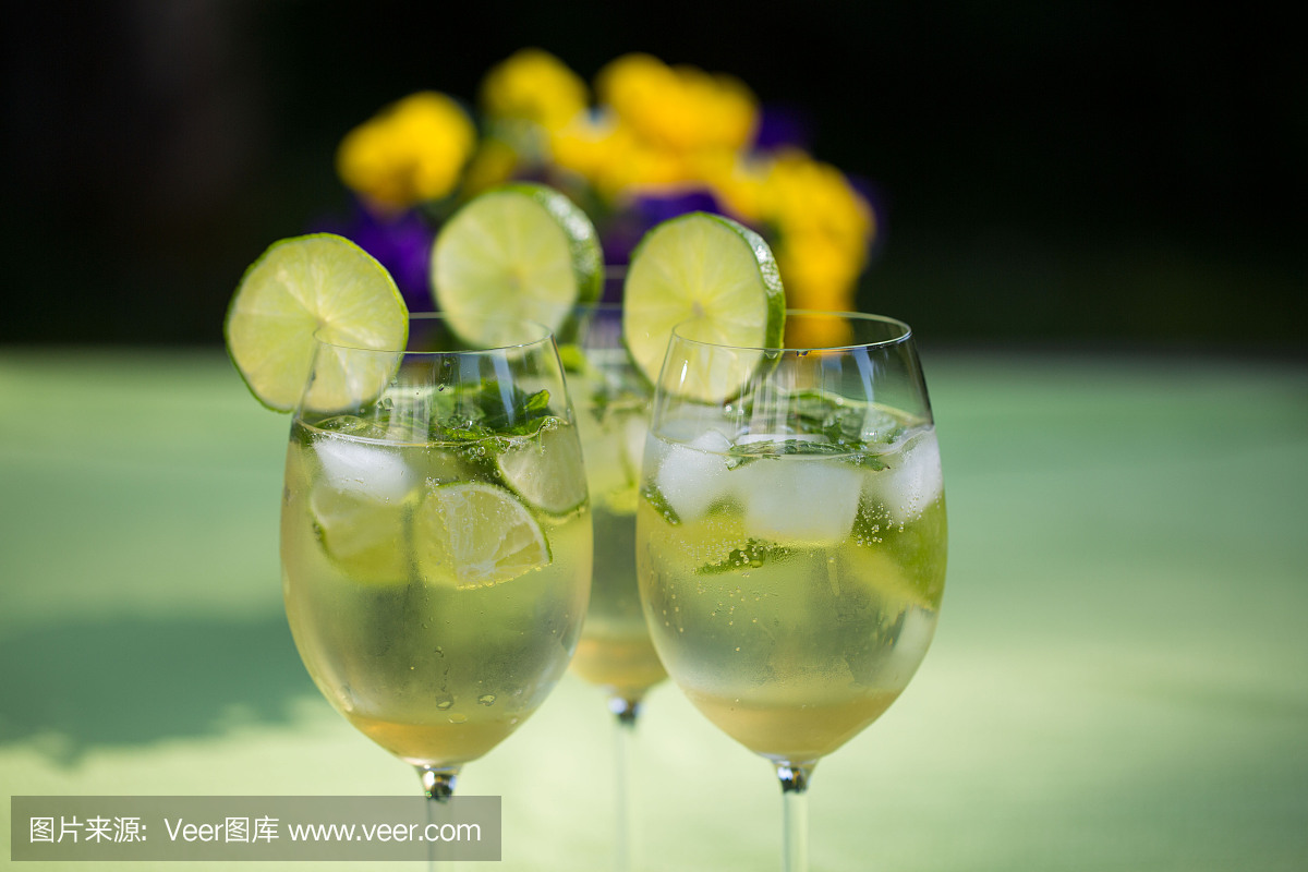 接骨木果,接骨木浆果,普罗赛柯起泡酒,水平画幅